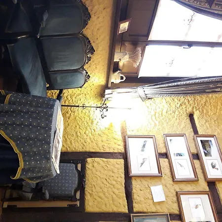 La Regia 3* León